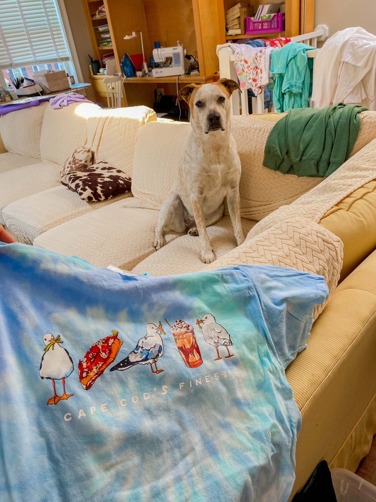 Maker / Scholar Cape Cod’s Finest Graphic Tee | Blue Cloud Tie Dye