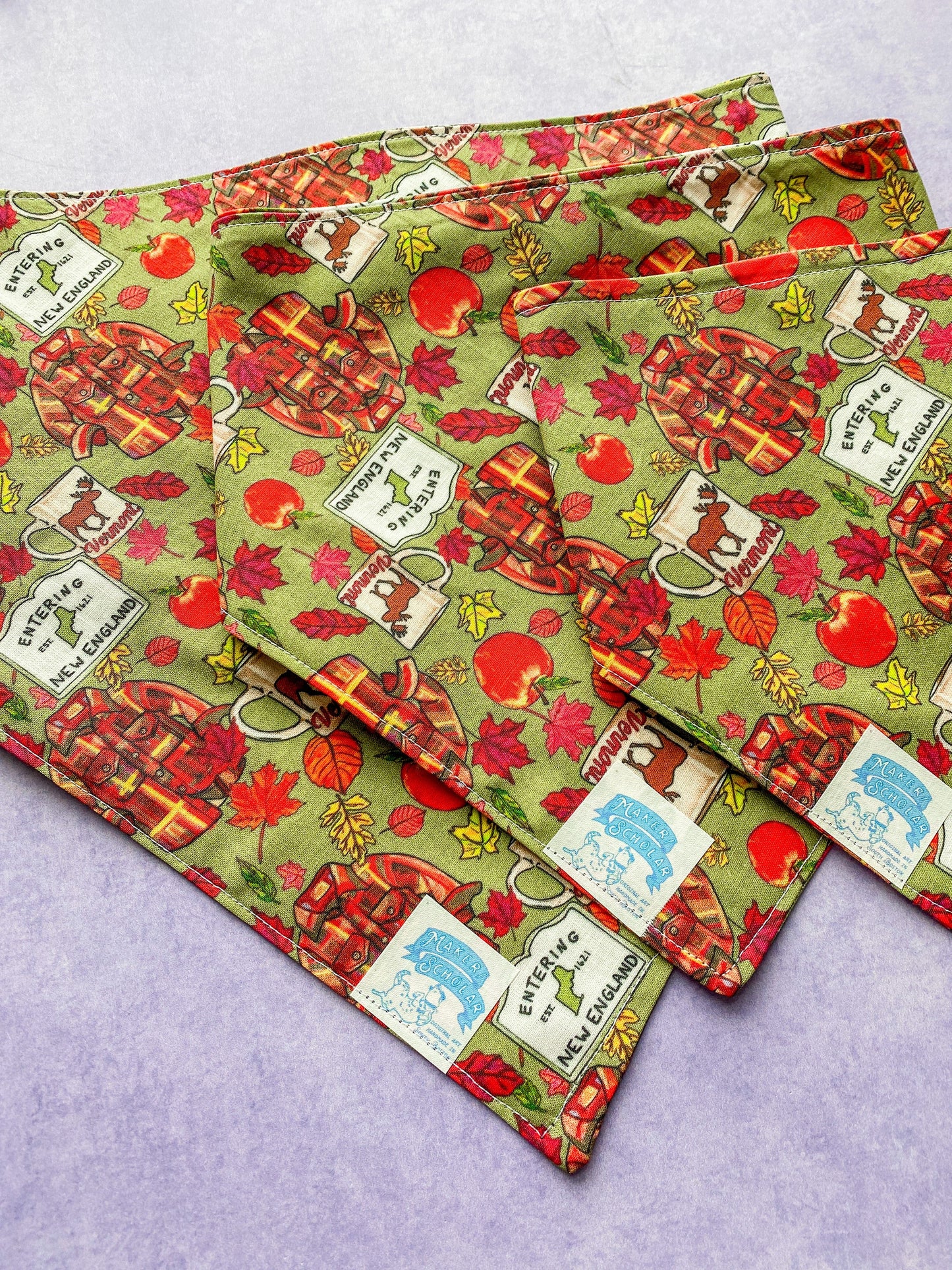 Maker / Scholar Pawtumnal Bandana