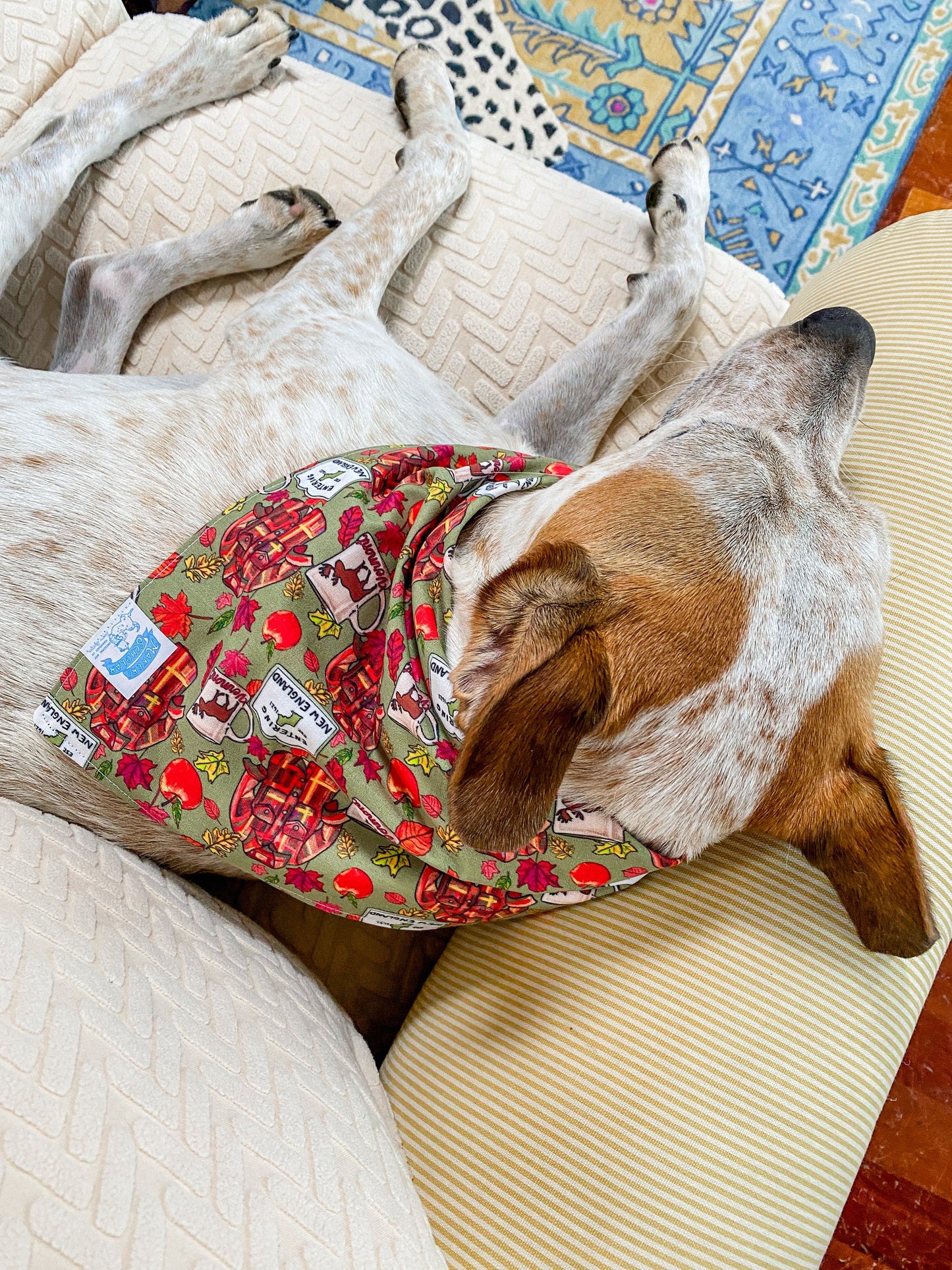 Maker / Scholar Pawtumnal Bandana