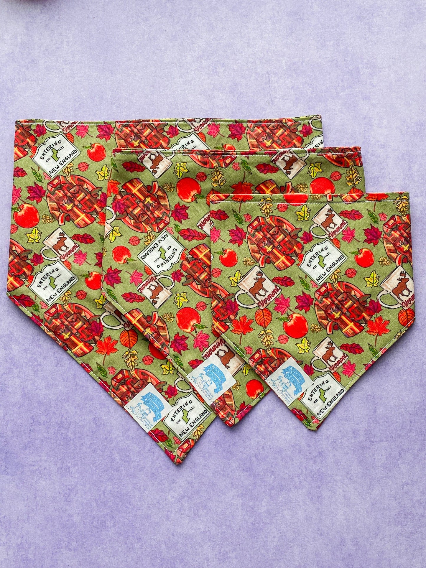 Maker / Scholar Pawtumnal Bandana