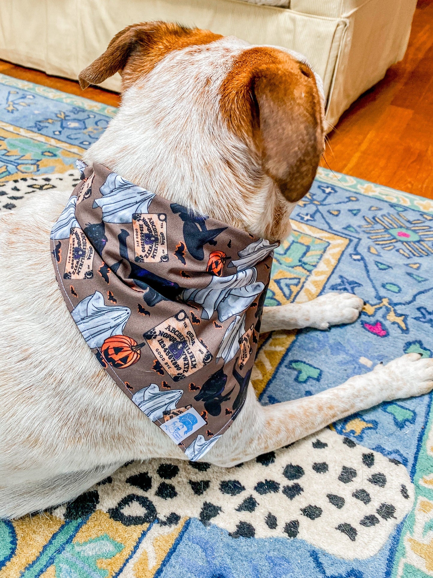 Maker / Scholar Resting Witch Face Bandana