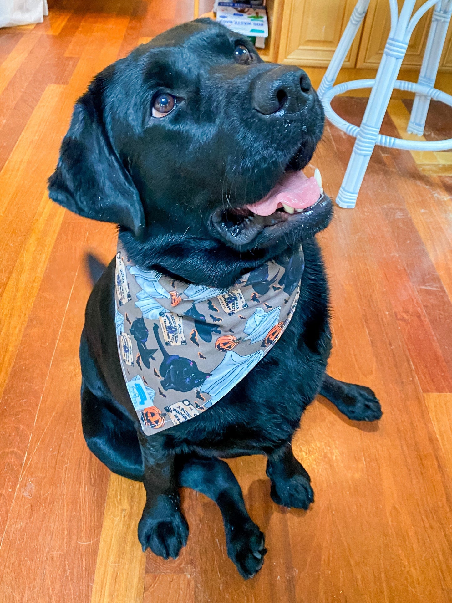 Maker / Scholar Resting Witch Face Bandana