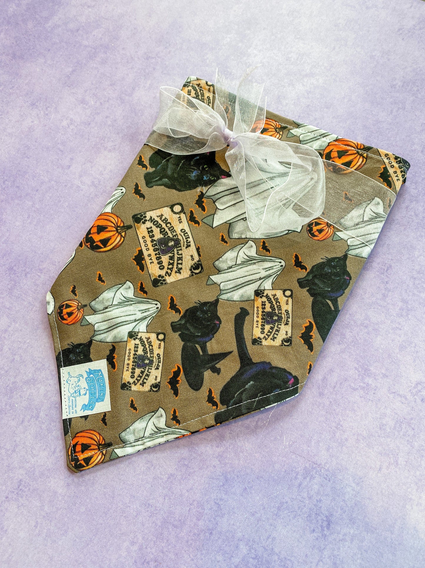 Maker / Scholar Resting Witch Face Bandana