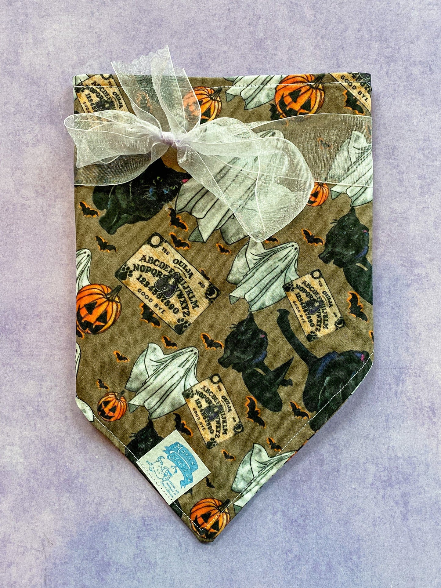 Maker / Scholar Resting Witch Face Bandana