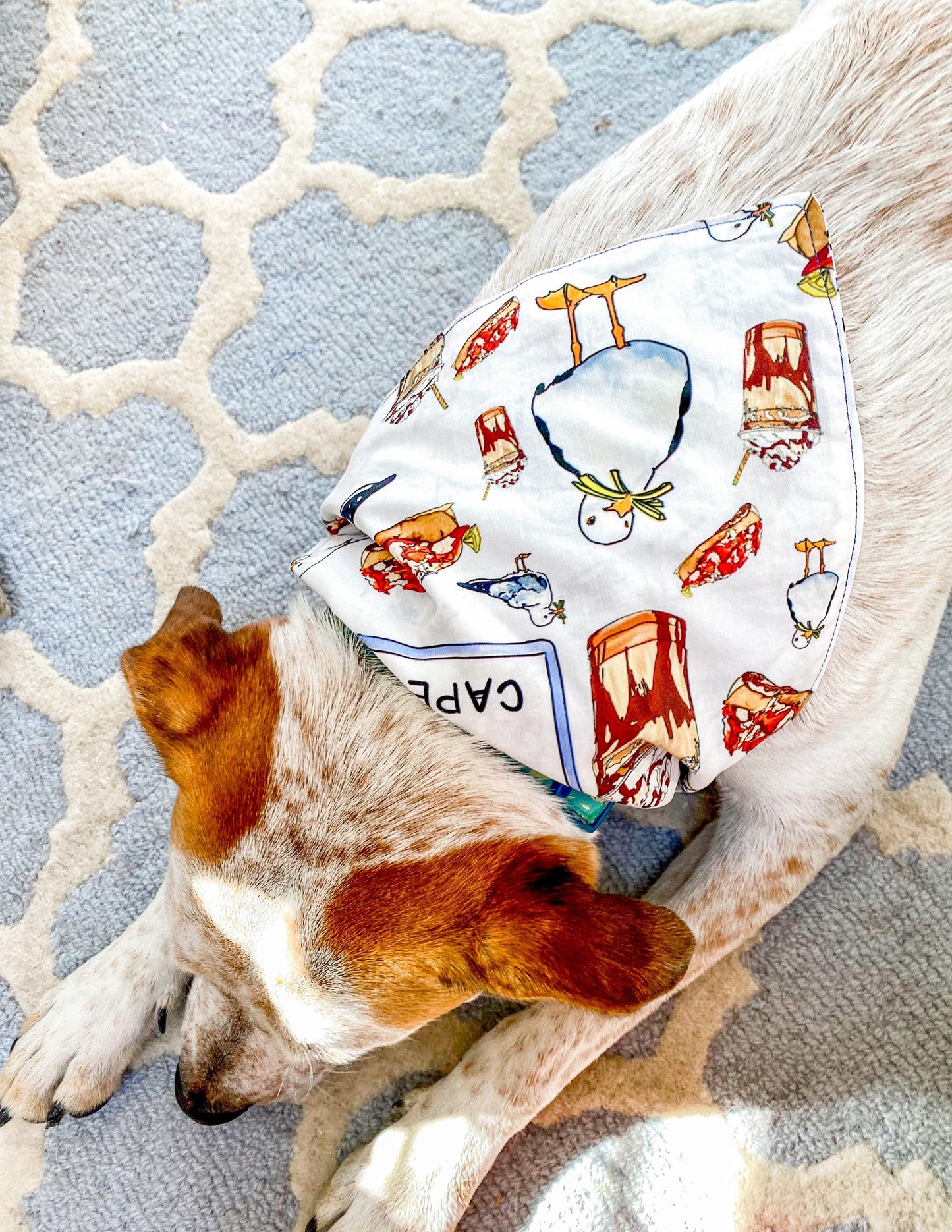 Maker / Scholar Cape Cod's Finest Bandana