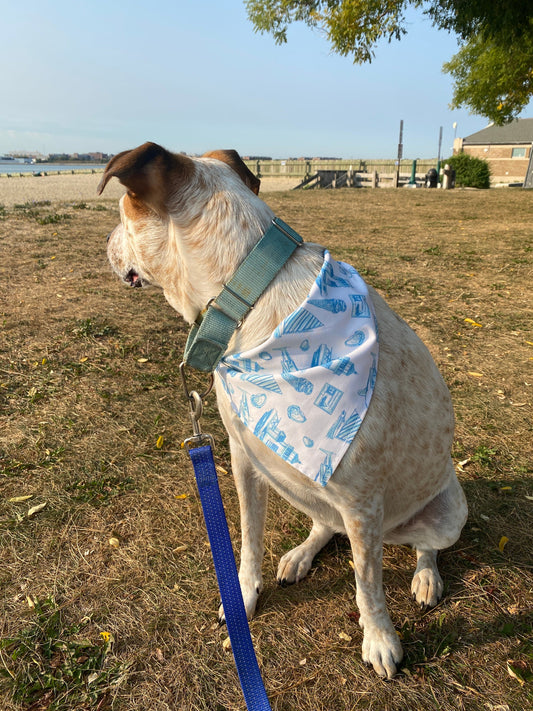 Maker / Scholar Bandanas Nantucket Bandana