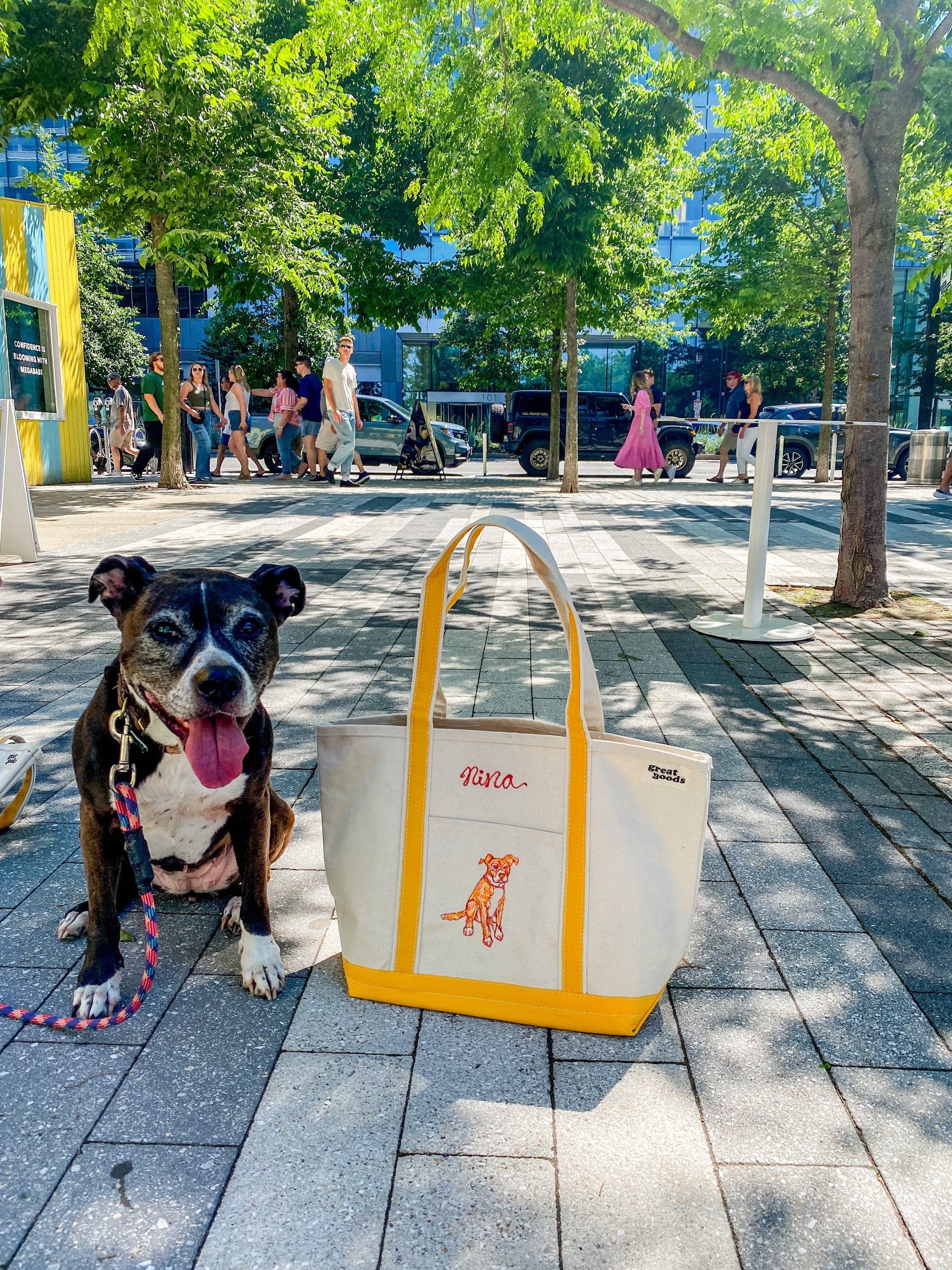 Maker / Scholar Large Pet Portrait Boat Totes