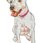 Maker / Scholar Watercolor Pet Portrait for Wedding Stationery (Digital Download / Commercial License)