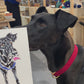 Pen & Marker Pet Portrait - Weekly commission drop!