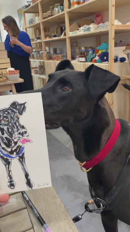 Pen & Marker Pet Portrait